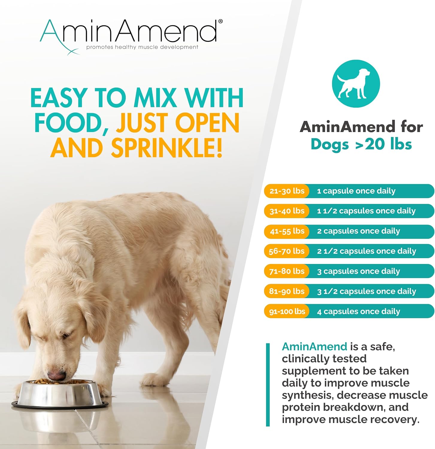 AminAmend Suplemento Muscular para Perros Grandes – CaHMB y Vitamina D3, 30 cápsulas