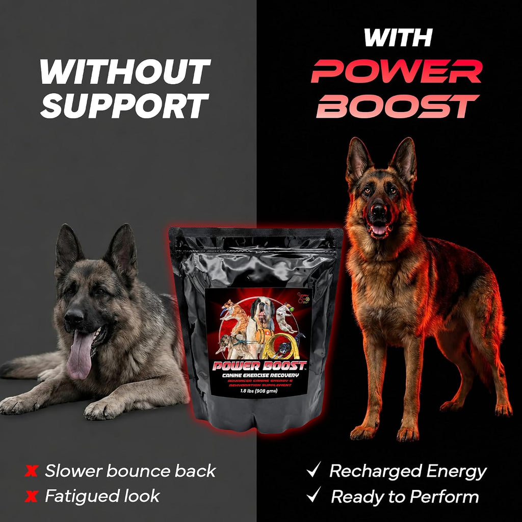 Power Boost Canine Performance Formula – Suplemento de Rehidratación y Recuperación para Perros de Trabajo y Deporte, Bajo en Grasa, Alto en Carbohidratos, 1.8 lbs