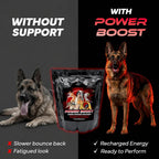 Power Boost Canine Performance Formula – Suplemento de Rehidratación y Recuperación para Perros de Trabajo y Deporte, Bajo en Grasa, Alto en Carbohidratos, 1.8 lbs