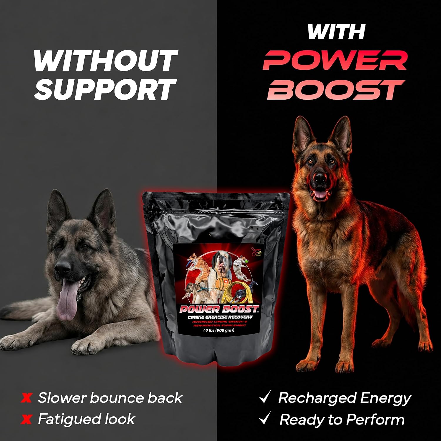 Power Boost Canine Performance Formula – Suplemento de Rehidratación y Recuperación para Perros de Trabajo y Deporte, Bajo en Grasa, Alto en Carbohidratos, 1.8 lbs