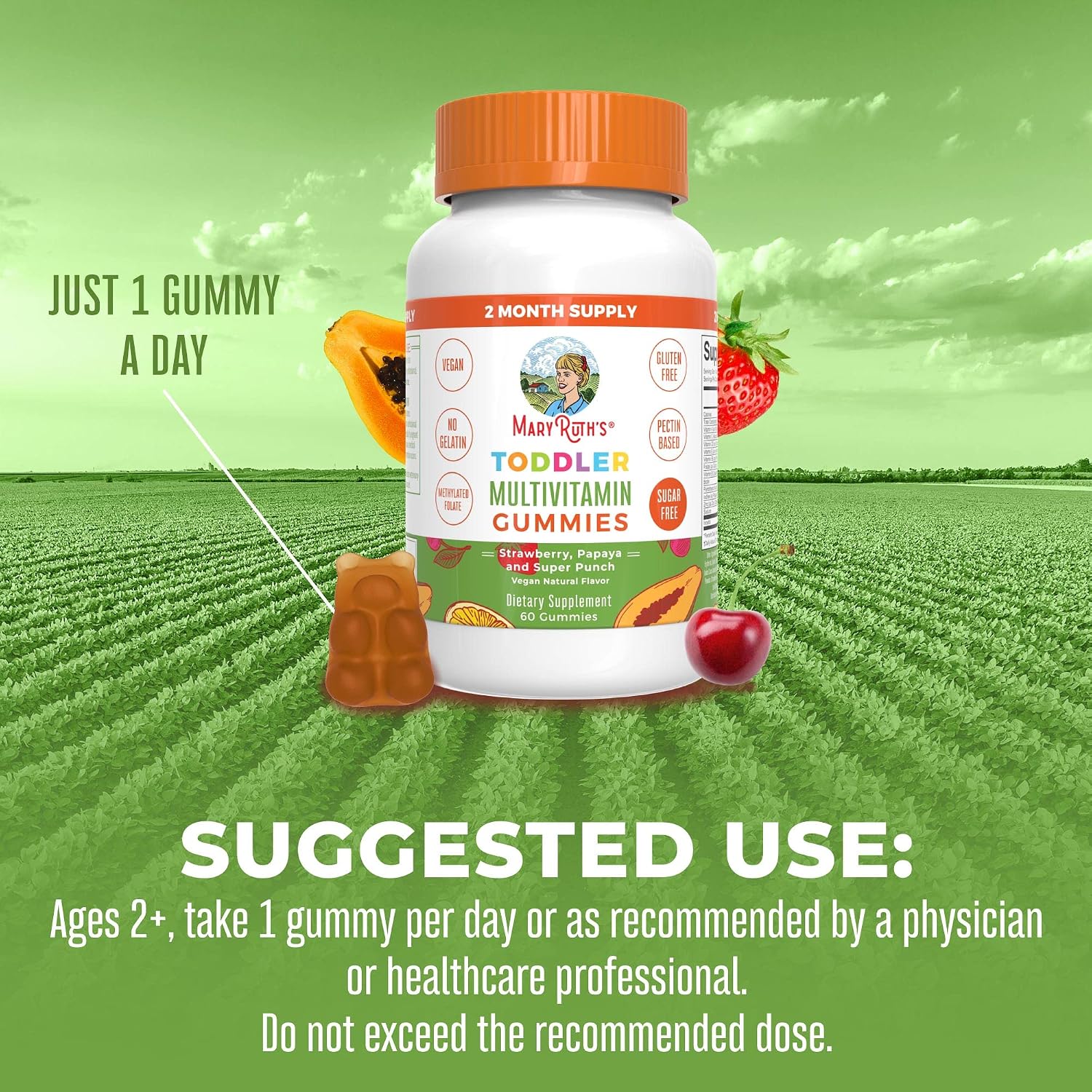 MARYRUTH'S Sugar Free Vitamin Gummies for Kids Age 2 | 2 Month Supply Multivitamin with Vitamin C, D3, Zinc | 1 Gummy Per Day | Toddler Vitamins | Sugar Free | Vegan | Non GMO | 60 Count