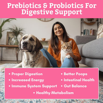 WholeBiotics - Probióticos para Perros y – Alivio de molestias digestivas ocasionales: Puede ayudar a calmar el – Image 4
