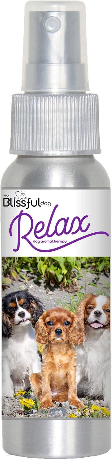 The Blissful Dog Spray de aromaterapia relajante para perros Cavalier King Charles Spaniel para la ansiedad de tu perro