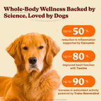 Furevery Multivitamínico para Perros 11-en-1 – 60 Masticables sabor a Pollo