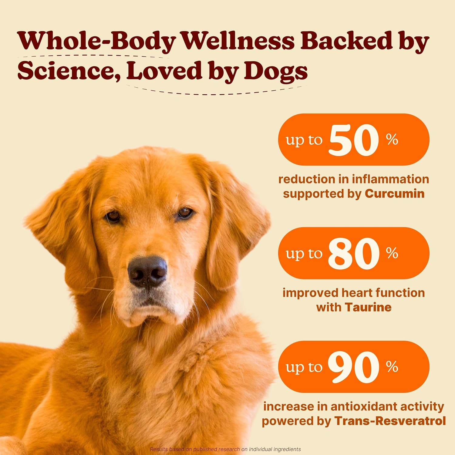 Furevery Multivitamínico para Perros 11-en-1 – 60 Masticables sabor a Pollo