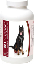 Cranberry Chewables para Perros - Apoyo Urinario - 75 masticables