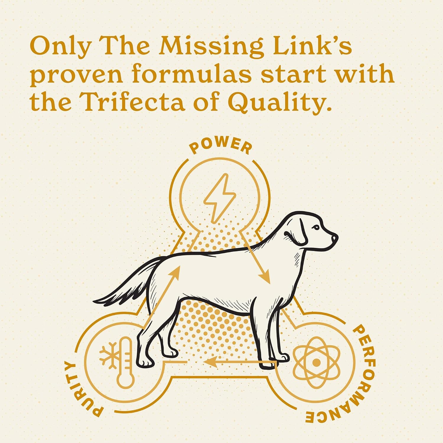 The Missing Link Piel y Pelaje + Probióticos - Suplemento en Polvo para Perros, 5 lb