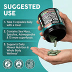 Clean Nutra Cápsulas Orgánicas de Musgo Marino con Ashwagandha, Aceite de Semilla Negra, Raíz de Bardana, Musgo de Vejiga, Moringa, Chlorella, Espirulina, Cúrcuma, Saúco, Amla – 90 Cápsulas Veganas – MiracleMin