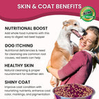 Olewo Remolacha Roja para Perros Granulado – Complemento Alimenticio para Apoyo Interno, Sensibilidad de la Piel y Equilibrio General, Fibra Prebiótica y Nutrientes de Alimentos Integrales, 623 g