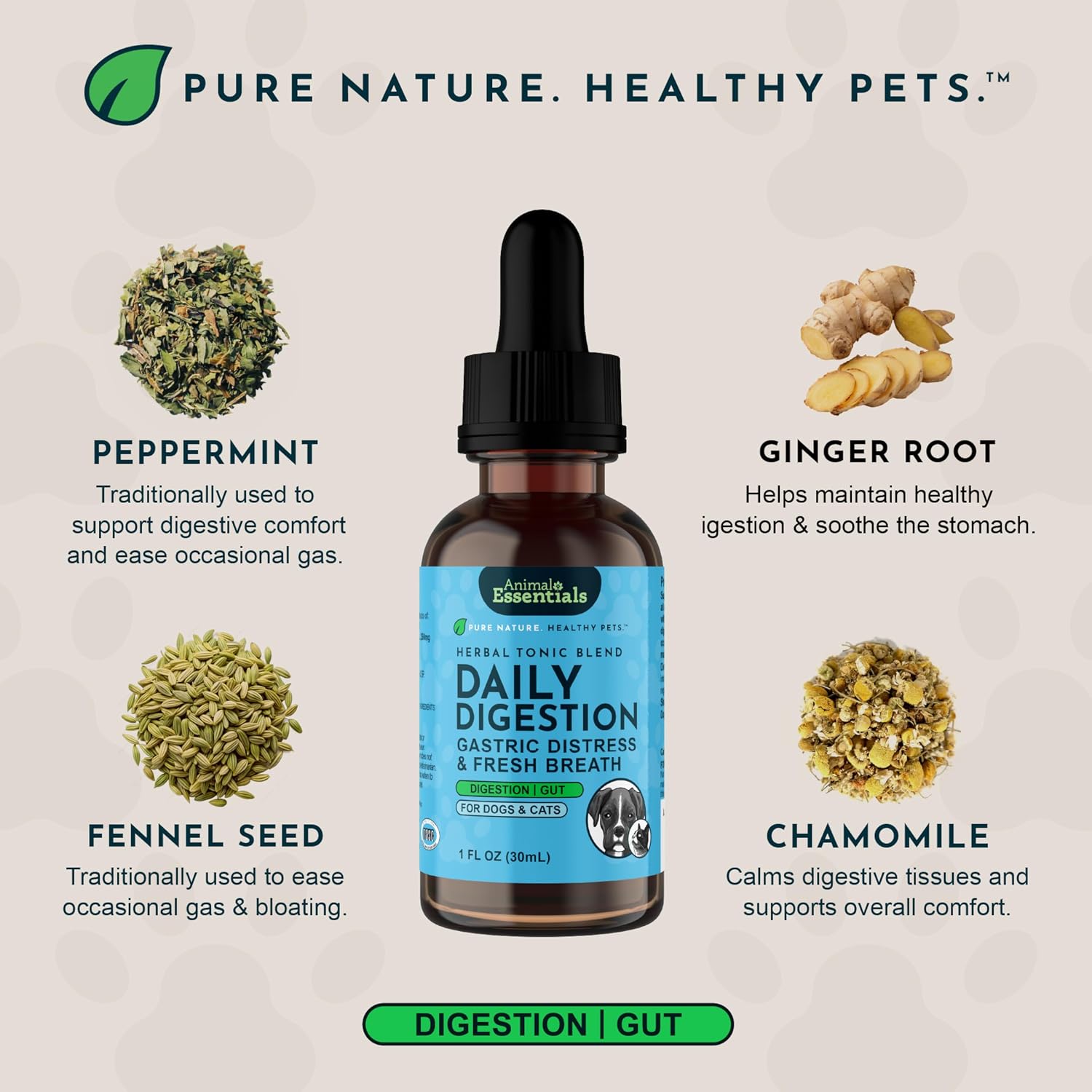 Daily Digestion 1 fl oz – Suplemento herbal para perros
