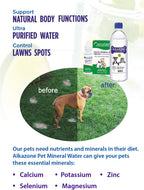 Alkazone Gotas Multimineral Alcalinas para Perros y Gatos - Sin Sabor - 120 Dosis