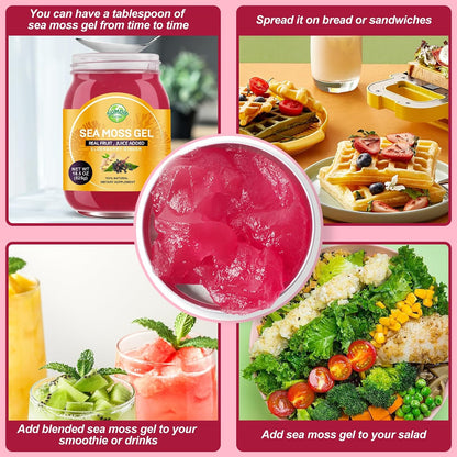 Gel de Seamoss Irlandés Silvestre con Saúco – Jengibre: Conocido por sus propiedades digestivas, el jengibre se ha – Image 3