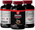 Extracto de Mucuna Pruriens – 60 Cápsulas – Suplemento para Apoyar la Memoria y la Concentración