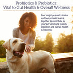 Rx Vitamins Rx Biotic - Probiótico en Polvo para Perros y Gatos - Apoyo Digestivo y Salud Intestinal - 35 g