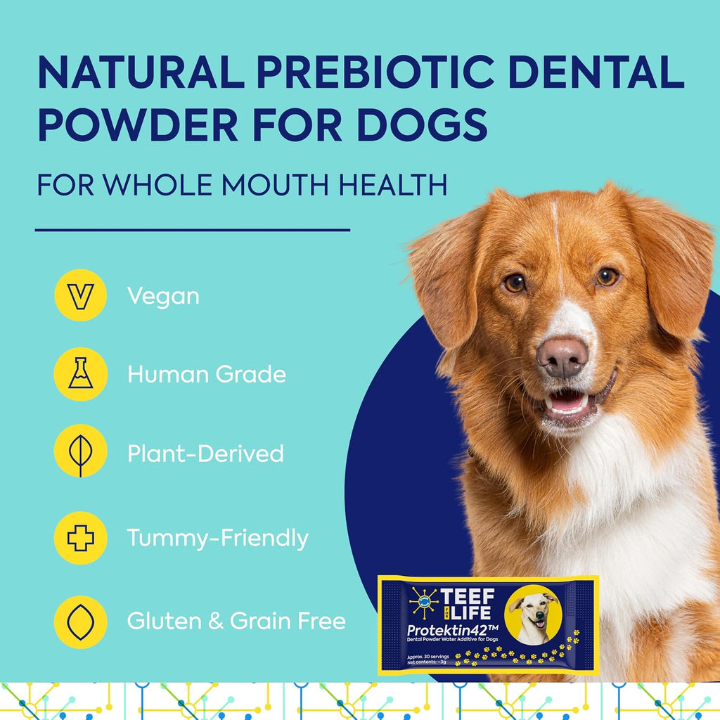 TEEF FOR LIFE Protektin42 Prebiótico Dental para Perros - Recarga de 30 Porciones