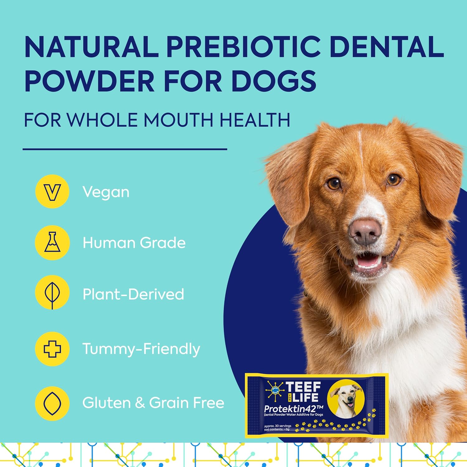 TEEF FOR LIFE Protektin42 Prebiótico Dental para Perros - Recarga de 30 Porciones