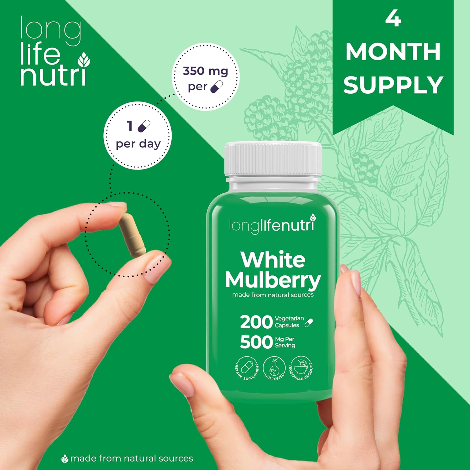 Extracto de Hoja de Morera Blanca 500 mg | 200 Cápsulas Vegetales | LongLifeNutri
