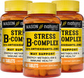 MASON NATURAL Stress B Complex con Antioxidantes y Zinc, Suministro para 6 Meses, Fórmula de Acción Dual, Apoya el Metabolismo Energético y la Salud Inmunológica, 3 Paquetes