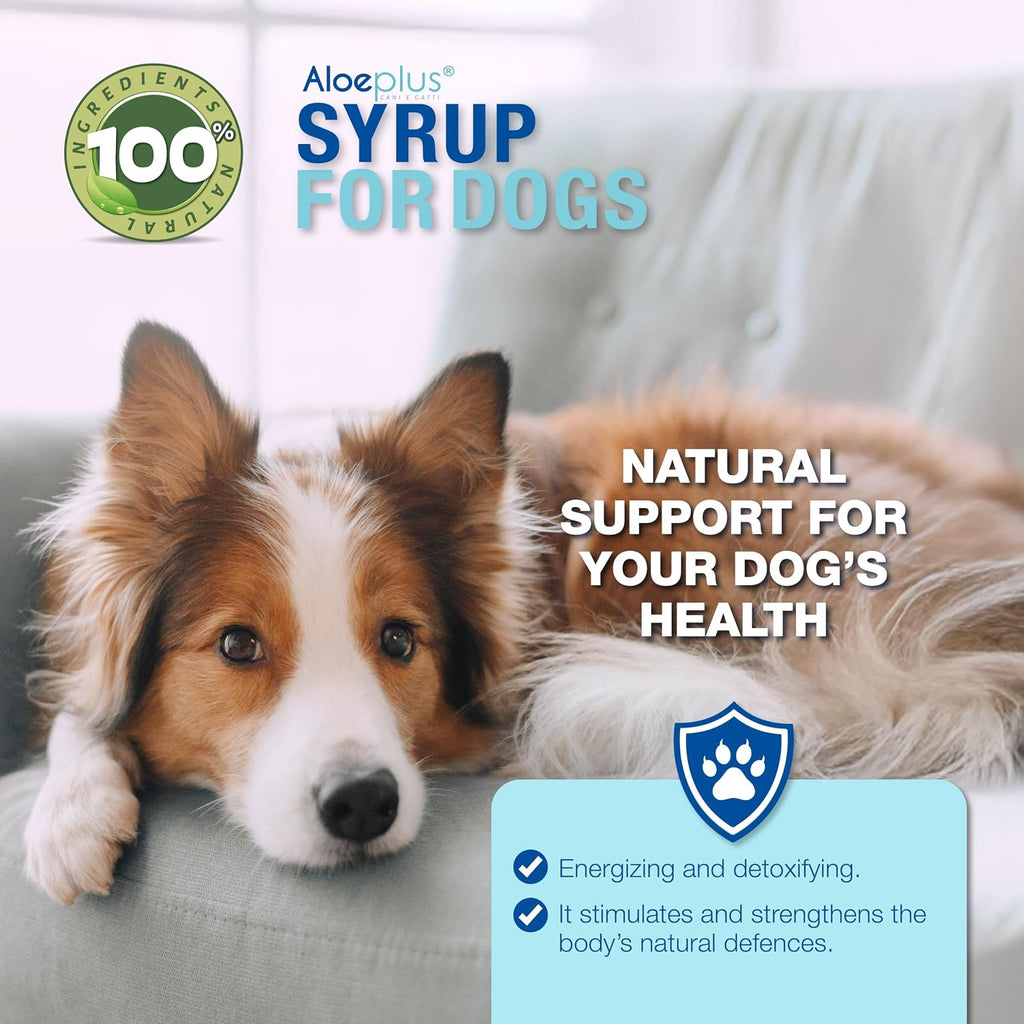 Aloeplus Jarabe para Perros 150ml - Complemento Energético y Detoxificante con Aloe Arborescens Orgánico
