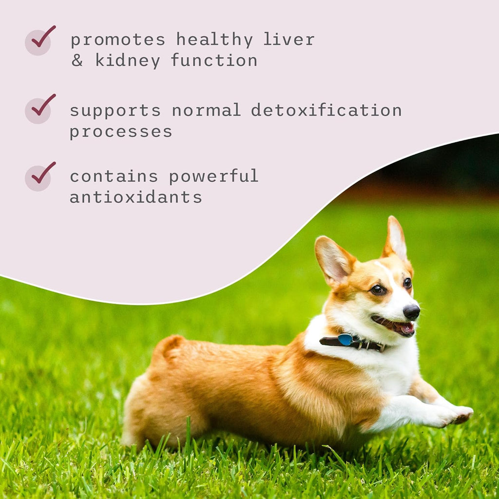 Bark & Whiskers Detox Support - Ayuda a la función hepática y renal - Mezcla herbal con cardo mariano orgánico y té verde - 51 g (1.8 oz)