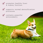 Bark & Whiskers Detox Support - Ayuda a la función hepática y renal - Mezcla herbal con cardo mariano orgánico y té verde - 51 g (1.8 oz)