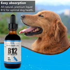 Vitaminas Líquidas B-12 para Perros - Suplemento de Metilcobalamina - Infinite Health Labs