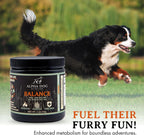 Balance Probiotic Blend for Dogs by Alpha Dog Nutrition