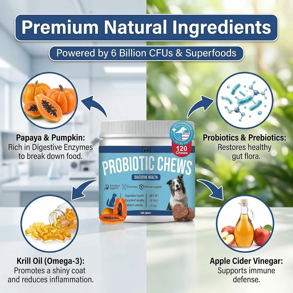 Probióticos para perros 120 masticables con enzimas y calabaza