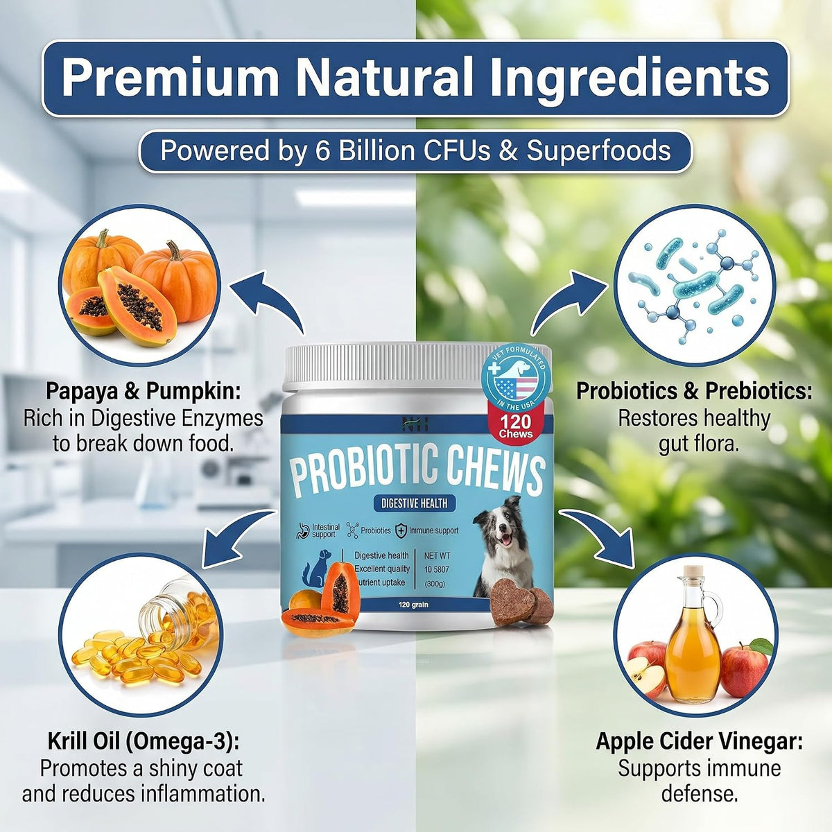 Probióticos para perros 120 masticables con enzimas y calabaza – Image 3