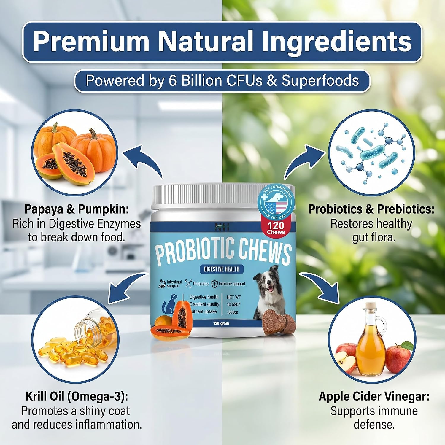 Probióticos para perros 120 masticables con enzimas y calabaza