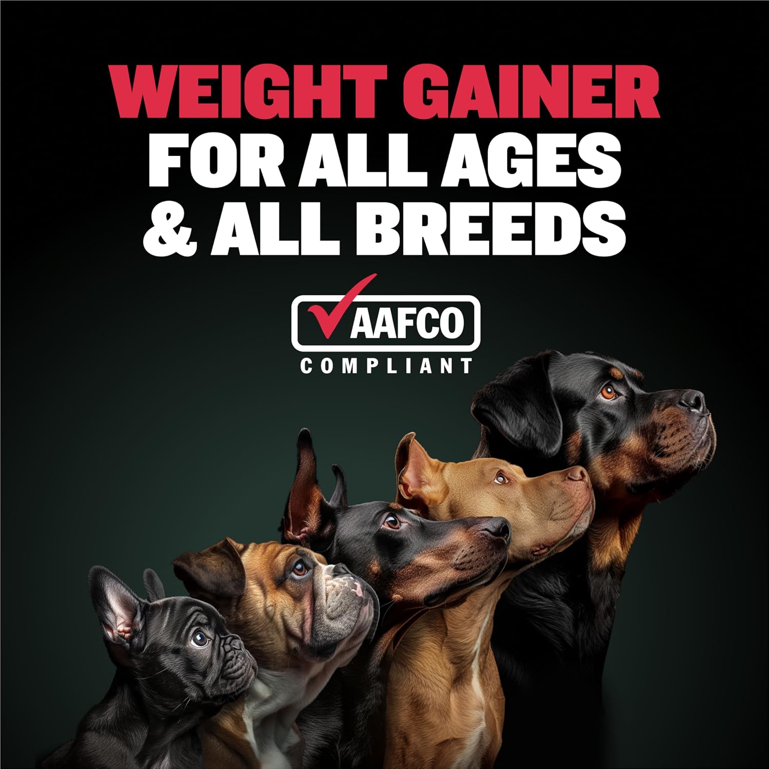 Bully Max Ganador de Peso para Perros 2400 Cal - Suplemento Líquido con Omega-3 y Proteína de Suero - 473 ml