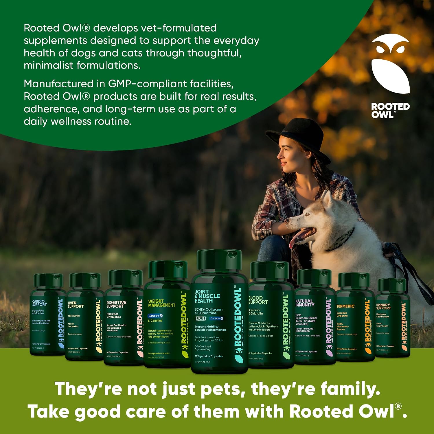Rooted Owl® Cúrcuma para Perros y Gatos - Suplemento con Curcumina, Piperina y Vitamina C - 60 Cápsulas