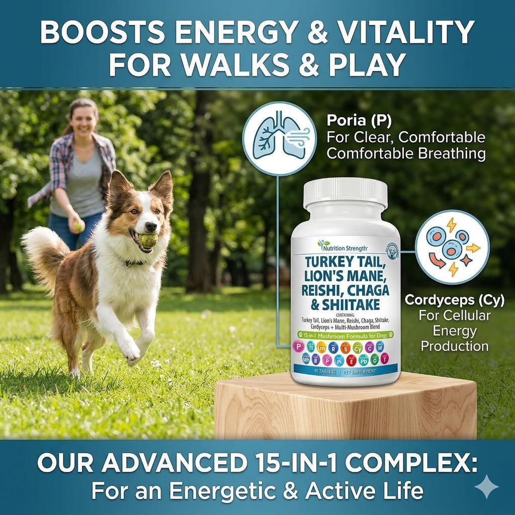 Nutrition Strength 15-in-1 Mushroom Support para Perros - 90 Comprimidos Masticables