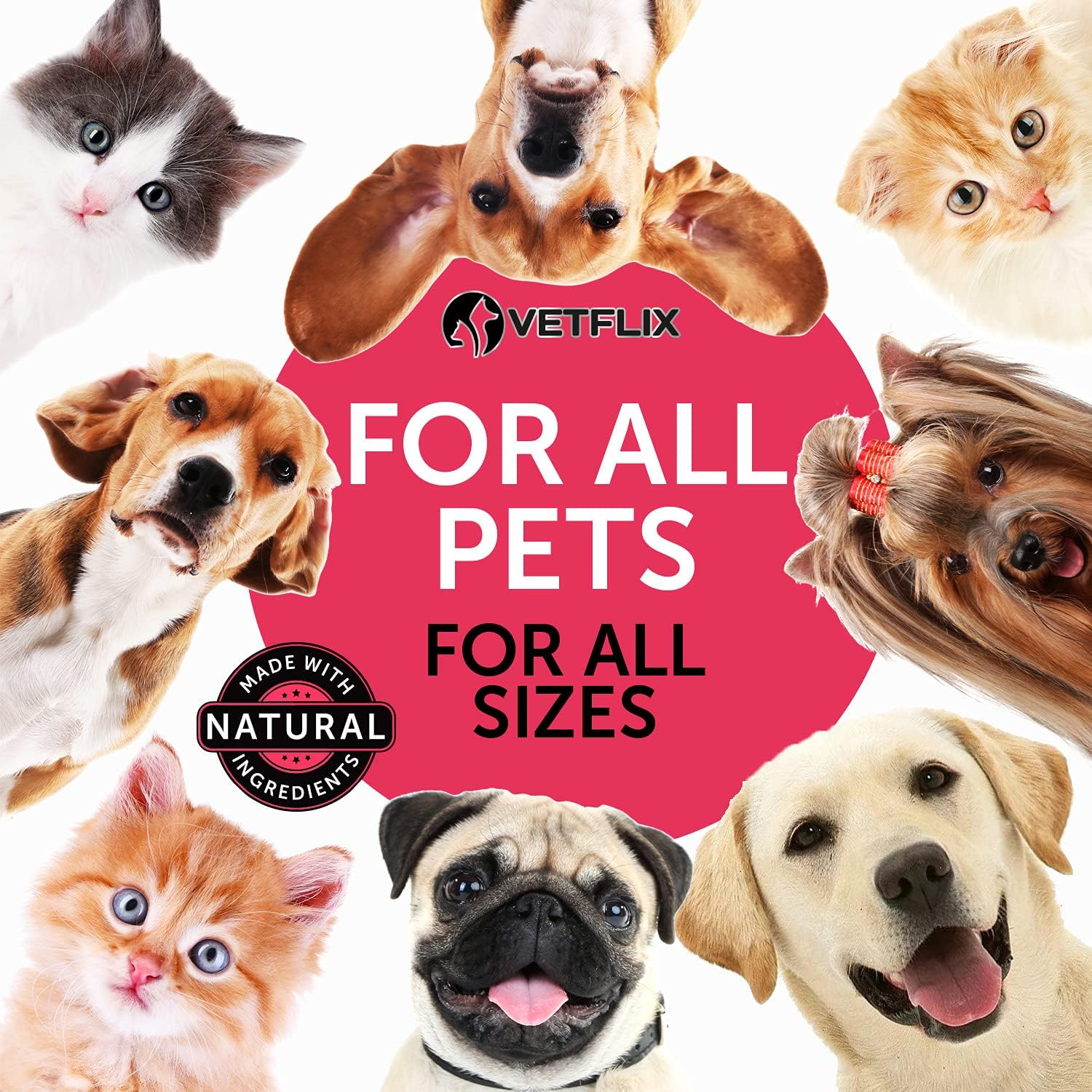 10 en 1 Vitaminas Líquidas para Perros y Gatos, 2 Fl Oz | Glucosamina y Multivitamínico