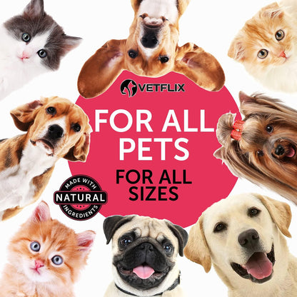 10 en 1 Vitaminas Líquidas para Perros y – Sistema inmunológico fuerte: Vitaminas como la C y la E, junto con el – Image 7