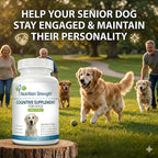 Nutrition Strength Apoyo Cognitivo para Perros – 120 Comprimidos Masticables para la Salud Cerebral y Mental