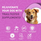 Waggedy Advanced Dog Probiotics Gut and Digestion Food Topper – Probiótico en polvo con enzimas digestivas y papaya – Probióticos suaves para perros de 6 semanas en adelante – Apoya el equilibrio intestinal, el confort y la salud inmunitaria