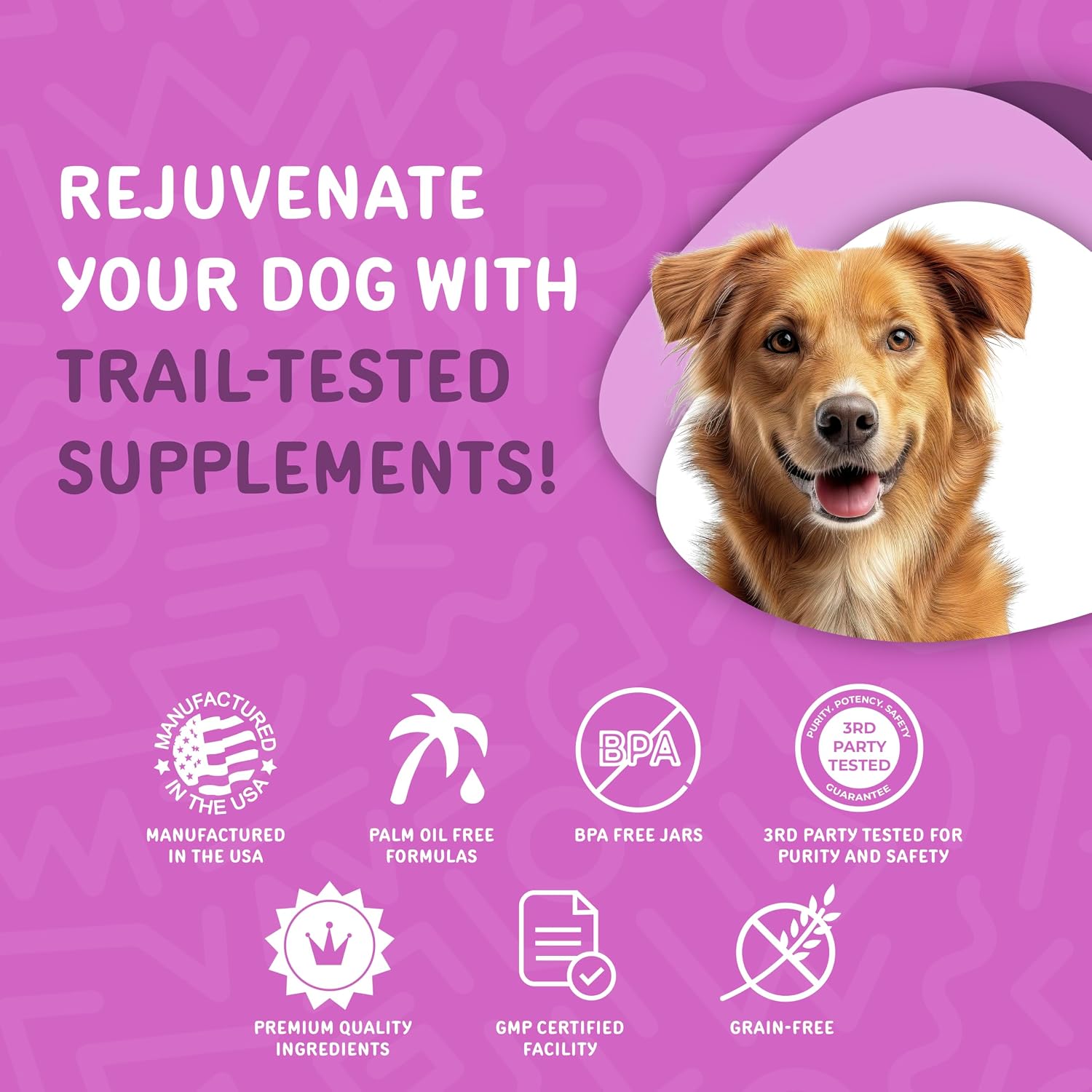 Waggedy Advanced Dog Probiotics Gut and Digestion Food Topper – Probiótico en polvo con enzimas digestivas y papaya – Probióticos suaves para perros de 6 semanas en adelante – Apoya el equilibrio intestinal, el confort y la salud inmunitaria