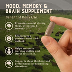 HEART & SOIL – Suplemento de Cerebro de Res 100% Pasto 3000 mg – Memoria y Concentración – 180 Cápsulas
