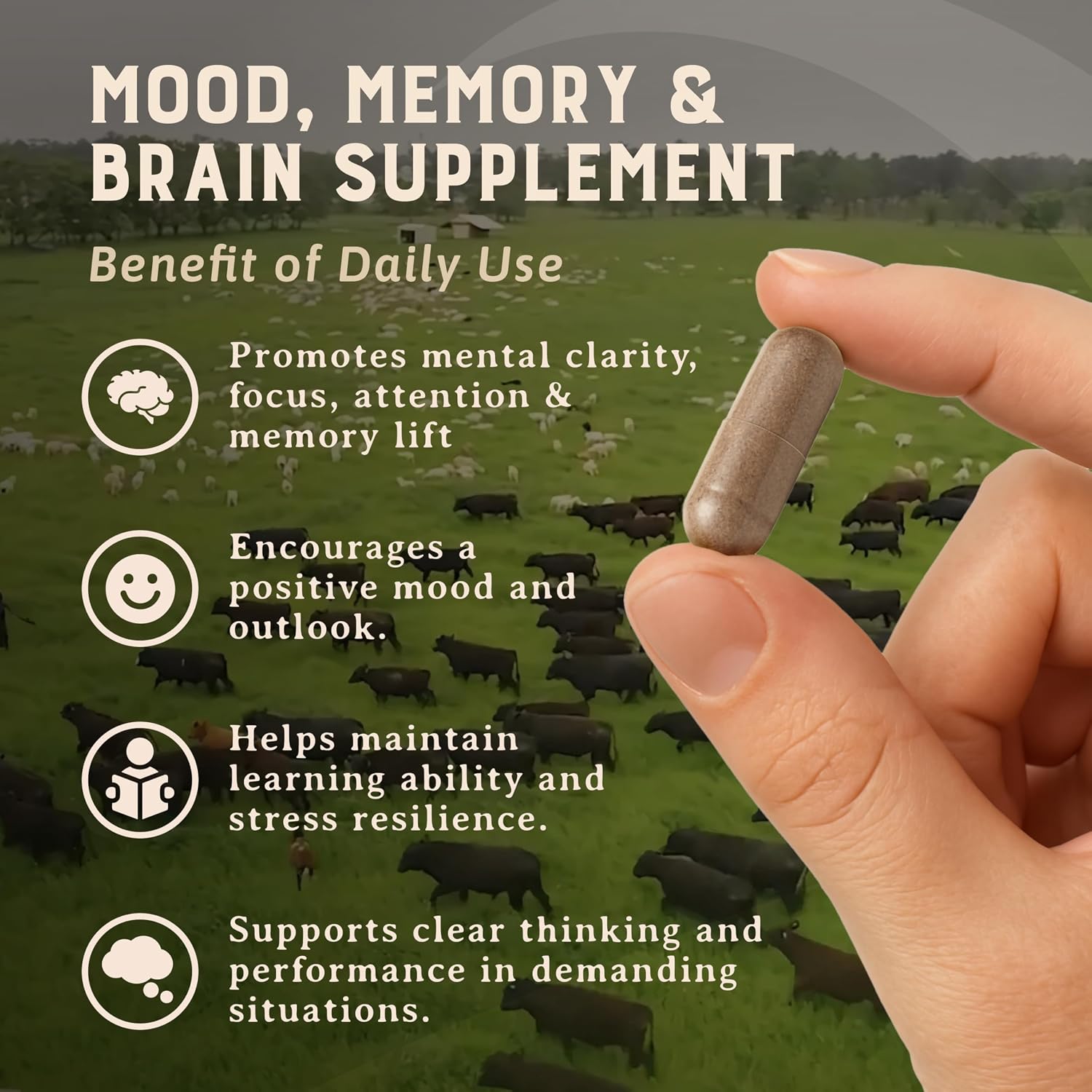 HEART & SOIL – Suplemento de Cerebro de Res 100% Pasto 3000 mg – Memoria y Concentración – 180 Cápsulas