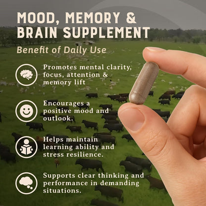 HEART & SOIL – Suplemento de Cerebro de Res 100% Pasto 3000 mg – Memoria y Concentración – 180 Cápsulas – Image 3