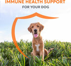 Nutramax Imuquin Suplemento de Apoyo Inmunitario en Polvo para Perros, con Beta Glucanos, Lípidos Marinos, Vitaminas y Minerales, 30 Sobres