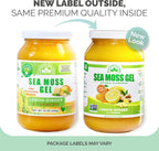 Gel de Musgo Marino Irlandés Silvestre con Limón y Jengibre - 1 Tarro