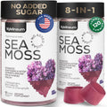 Wellneum Gominolas Multimineral de Sea Moss 3000 mg con Probiótico y Aceite de Semilla Negra (2 Paquetes)