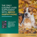 VetriScience SAMe Liver Health Tablets para Gatos y Perros Pequeños – 90 mg S-Adenosil Metionina, 30 tabletas