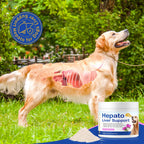 Hepato Liver Support for Dogs – Cardo Mariano con Complejo B (60g)