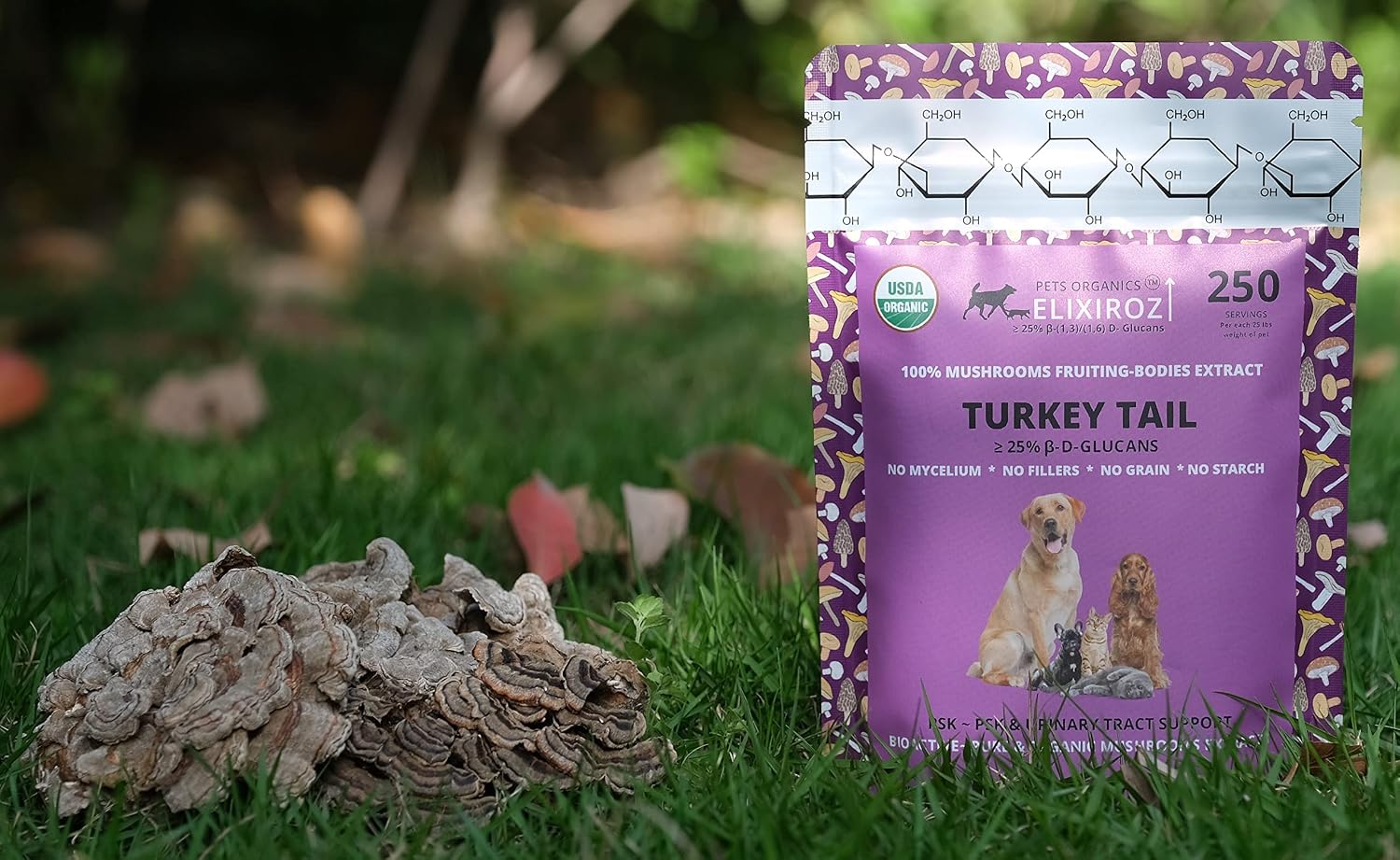 Extracto de Cola de Pavo para Perros y Gatos – 25% Beta Glucanos – Concentrado 8:1-12:1 – 250 Raciones