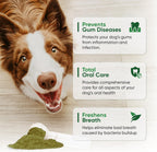 Fortify Dental Powder - Polvo dental para perros con algas y probióticos