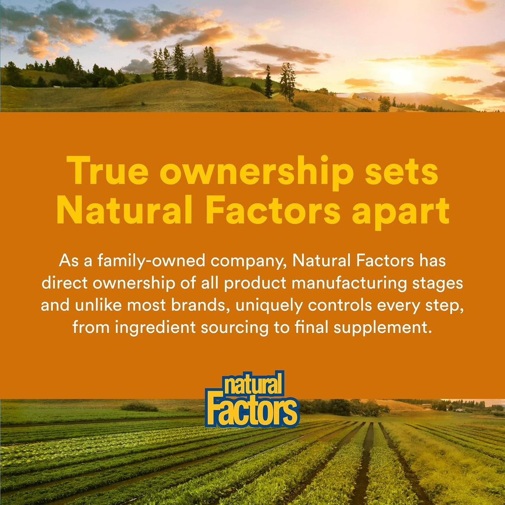 Natural Factors Complejo B 100 mg, Liberación Prolongada, 90 Comprimidos
