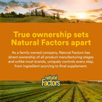 Natural Factors Complejo B 100 mg, Liberación Prolongada, 90 Comprimidos